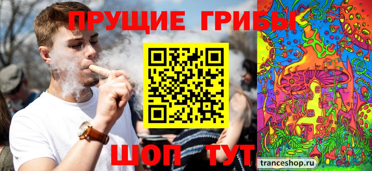 цены наркотик  Вход с VPN  Псилоцибиновые грибы мухоморы  Апатиты  Галлюциногенные грибы ЛСД 